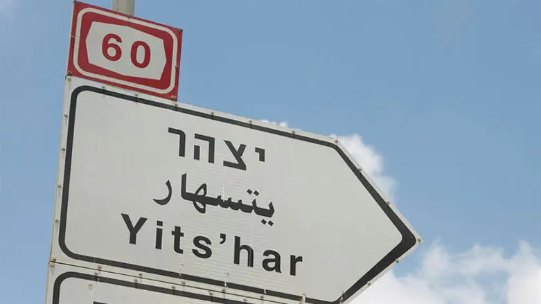 יצהר