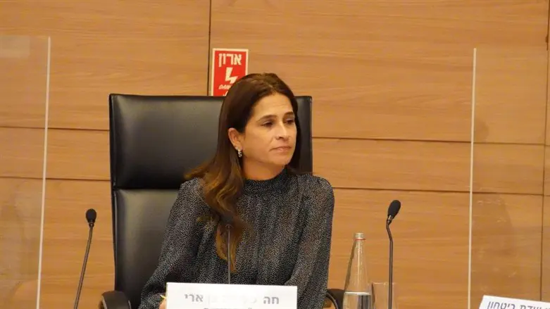 ח״כ מירב בן ארי