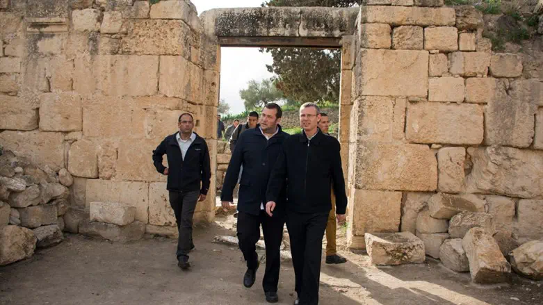 דגן ויריב לוין באזור