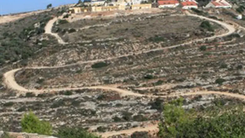 ניסו להבריח לנריה