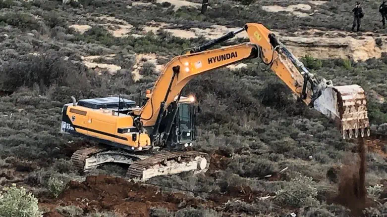 הרס כרמים בעמונה