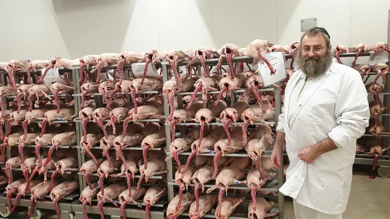 Rabbi Jacob Werchow presents geese slaughtered by his team in Csengele, Hungary