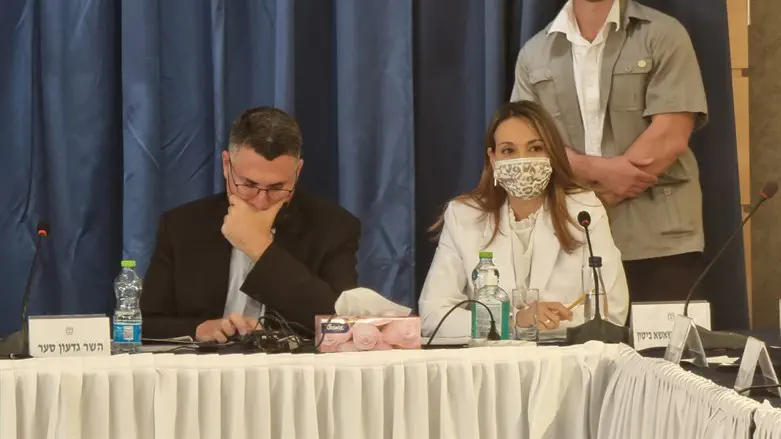 גדעון סער ויפעת שאשא ביטון