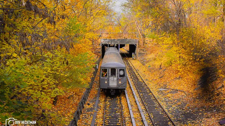 הגן הבוטני בניו יורק