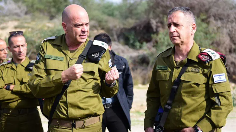 כוכבי וינקו