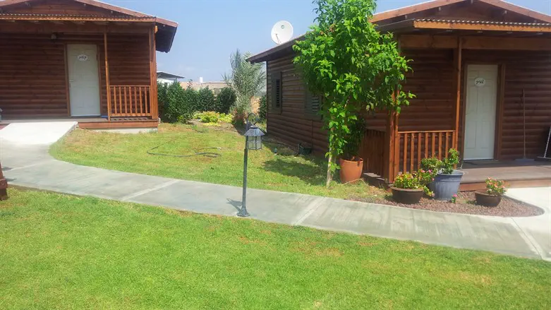 תמונת אילוסטרציה. אין קשר לידיעה