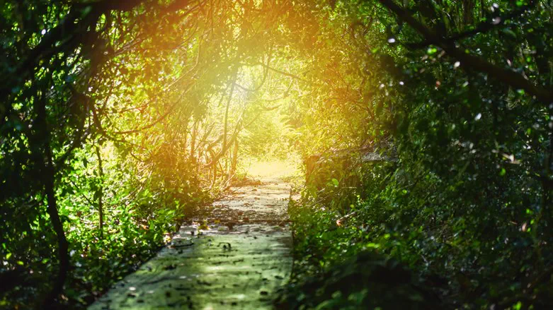 Pathway to redemption