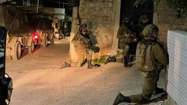 הפעילות הלילה