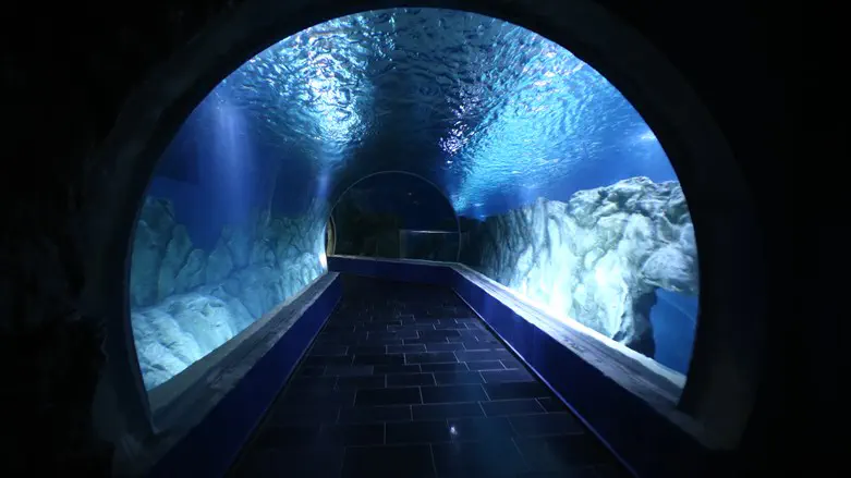 Jerusalem Aquarium