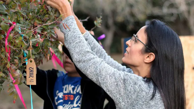 מסלול שמיטה