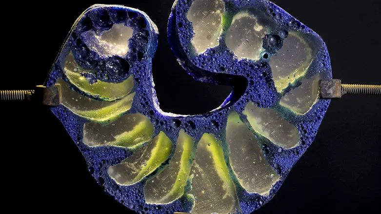 שונות-שירי בן סיני