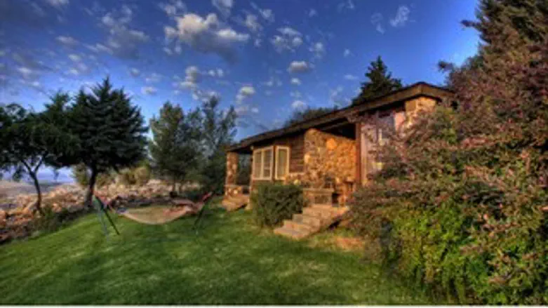 ורד הגליל למול הכנרת