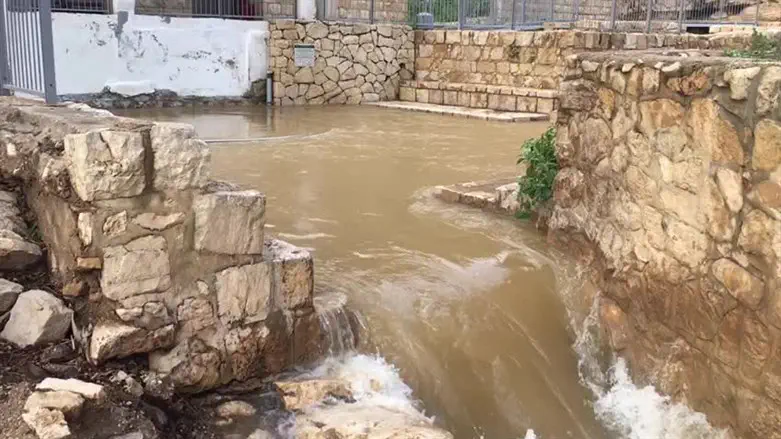 זרימה בנחל פרת