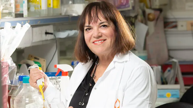 פרופ' אטה ליבנה