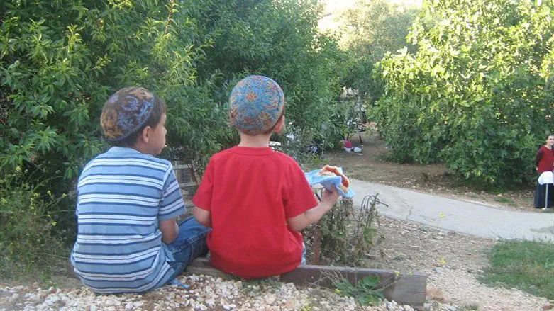 children and nature