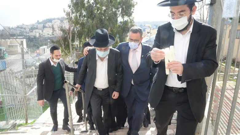 גפני וליאון