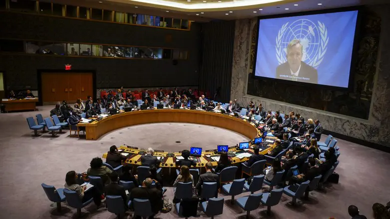 UN Security Council
