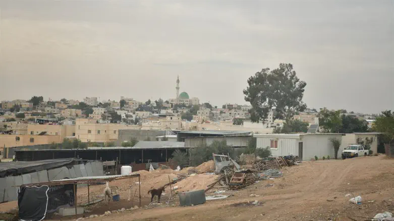 הבדואילנד בשטח