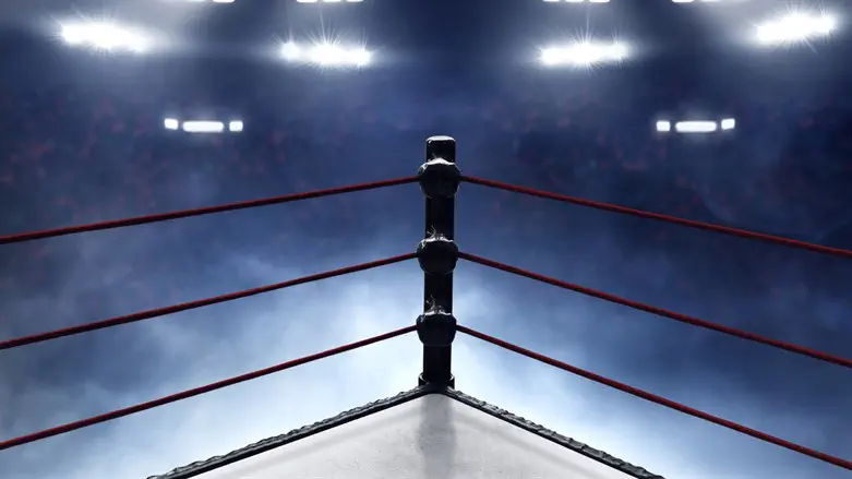 Wrestling ring