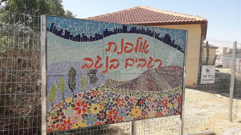 אולפנת רגבים בנגב