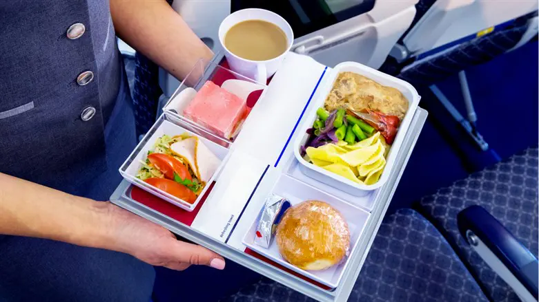 Airplane food