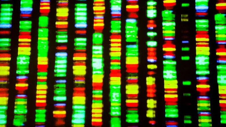 רצף DNA