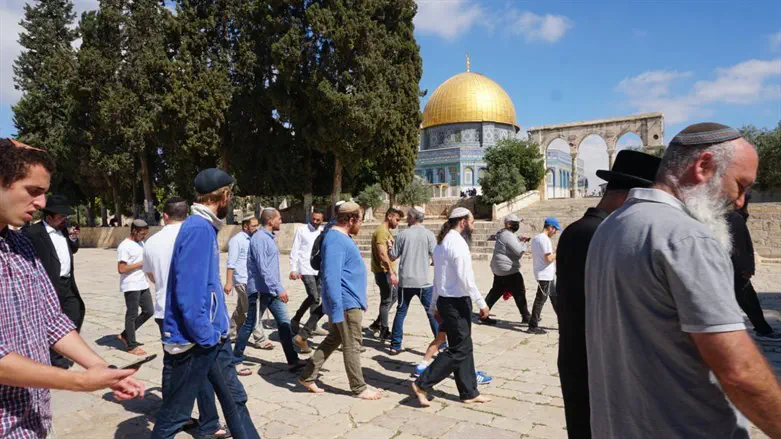 יהודים בהר הבית. ארכיון
