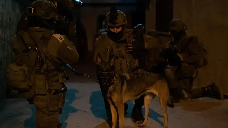 סיירת גבעתי