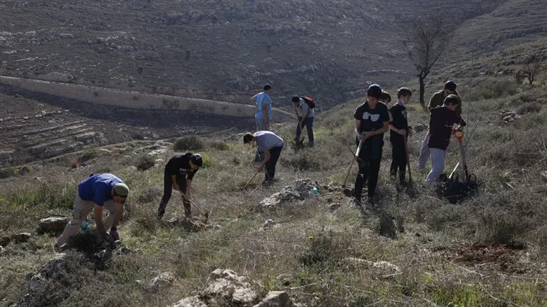 התלמידים בשטח