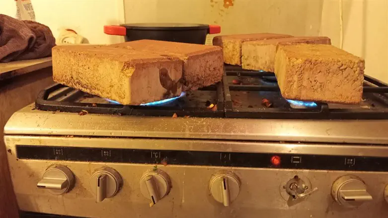 פלטה לשבת בהתיישבות הצעירה