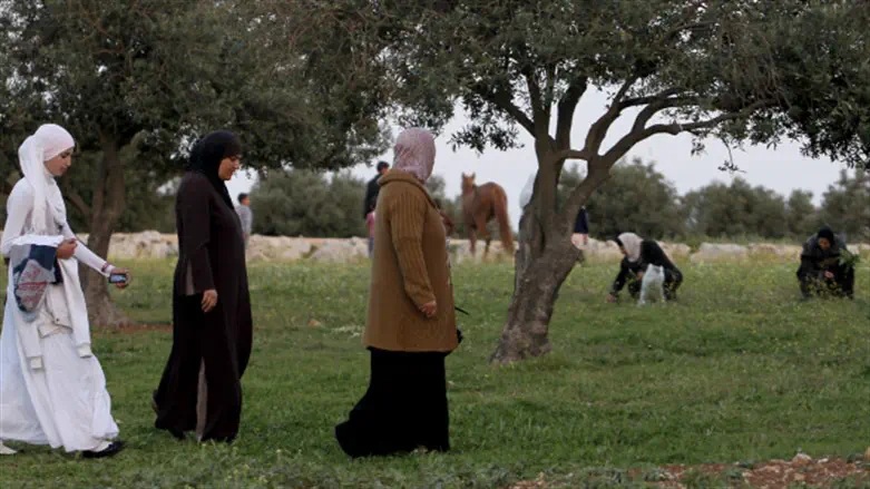 אילוסטרציה