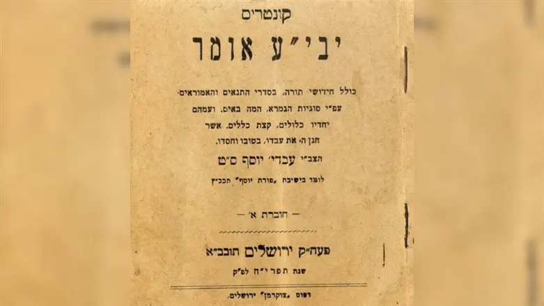 כריכת העותק הנדיר של הספר