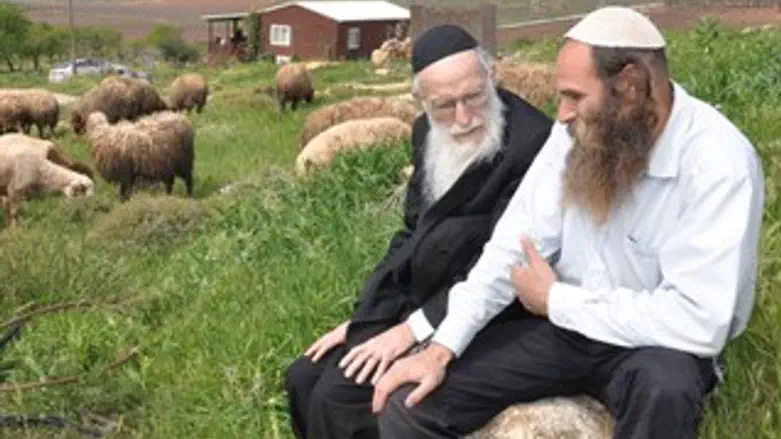 הרב יהודה יוספי ובנו