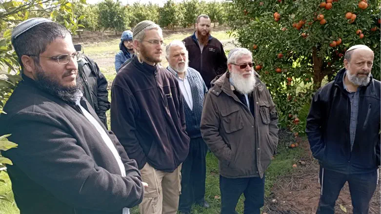 סיור הרבנים בעקבות השמיטה