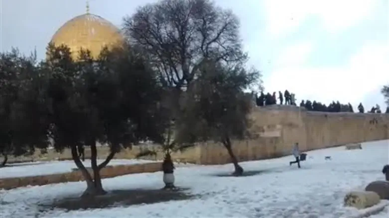 Арабы забрасывают снежками евреев на Храмовой горе