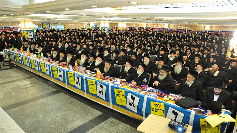 כינוס חסידי בעלזא