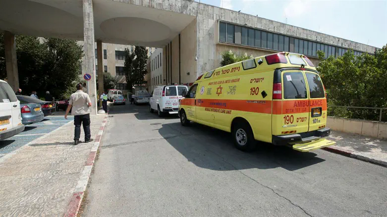 הדסה הר הצופים