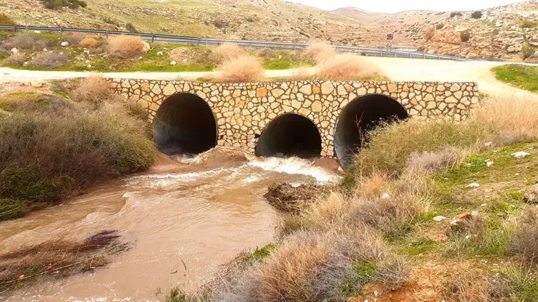 Prat Stream