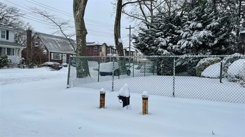 Snow in Queens