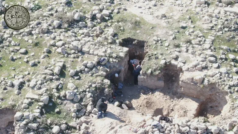 שודדי העתיקות שנתפסו על חם