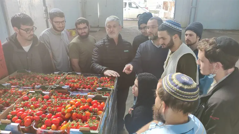 תלמידי הישיבה עם חקלאי נצר חזני