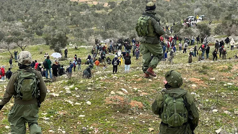 הנטיעות של הפלסטינים והשמאל הקיצוני בין בורין לגבעת רונן