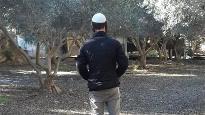 אברהם