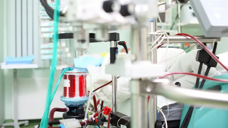 Blood oxygenator (ECMO) in the ICU ward