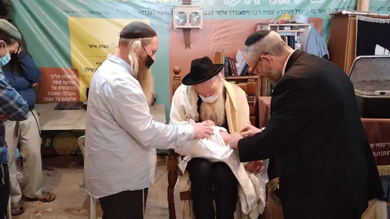 ברית מילה בחומש