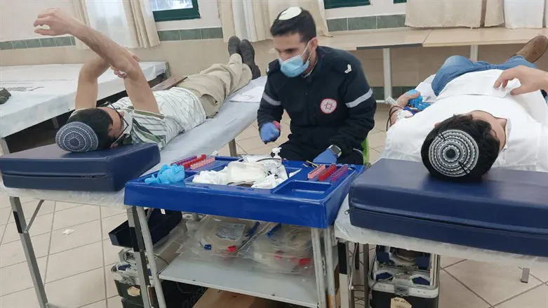 התרמת דם. ארכיון