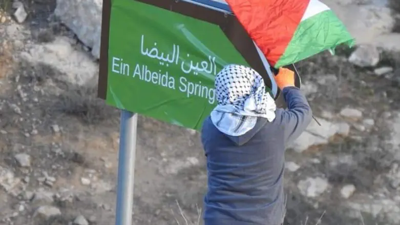 Vandalism helped by human rights org