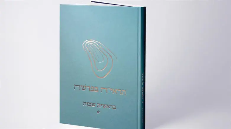 הראיה בפרשה. כריכת הספר