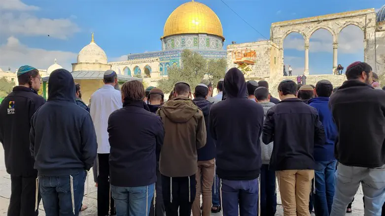 ישיבת ניר בהר הבית