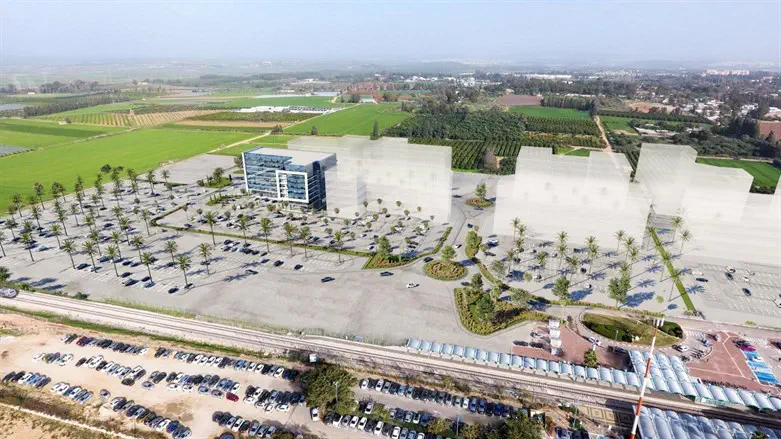 פאי גרופ אילנות. הדמיה